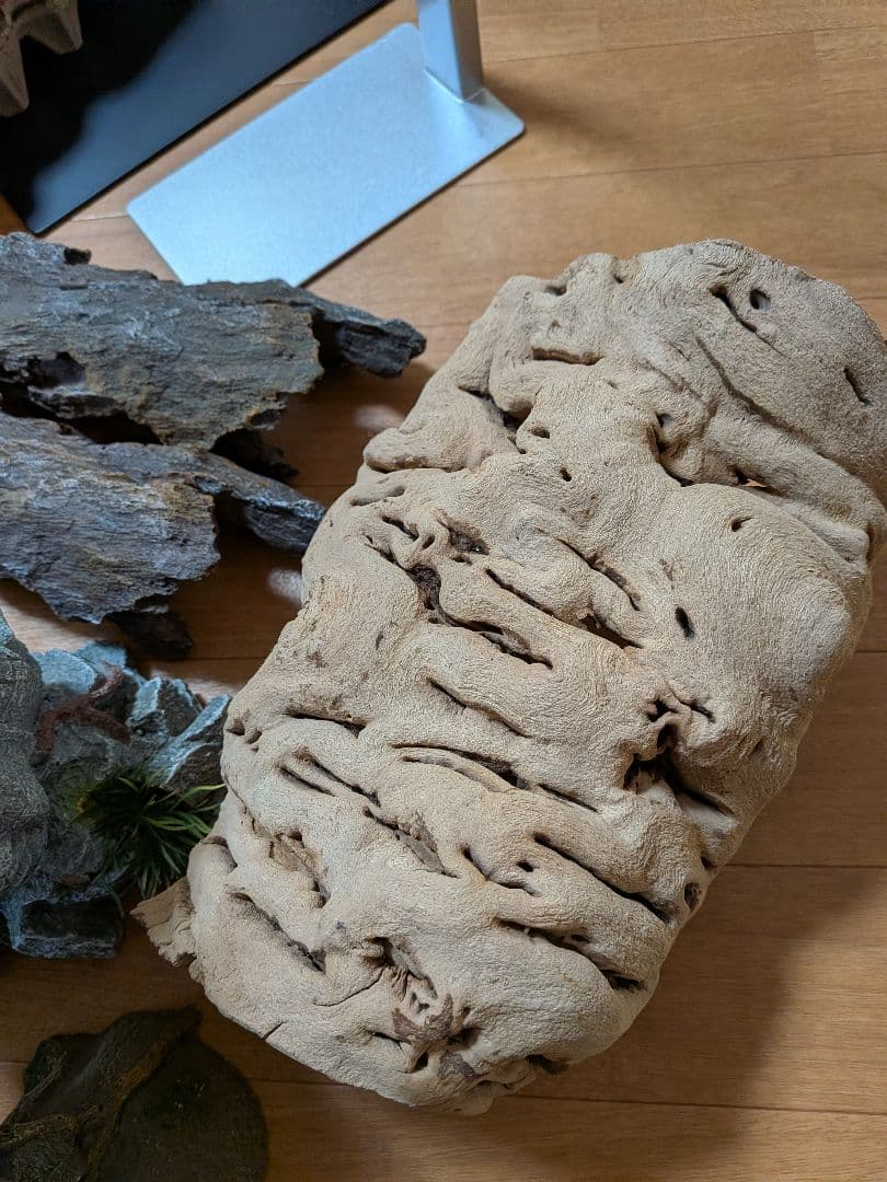 爬虫類　飼育セット