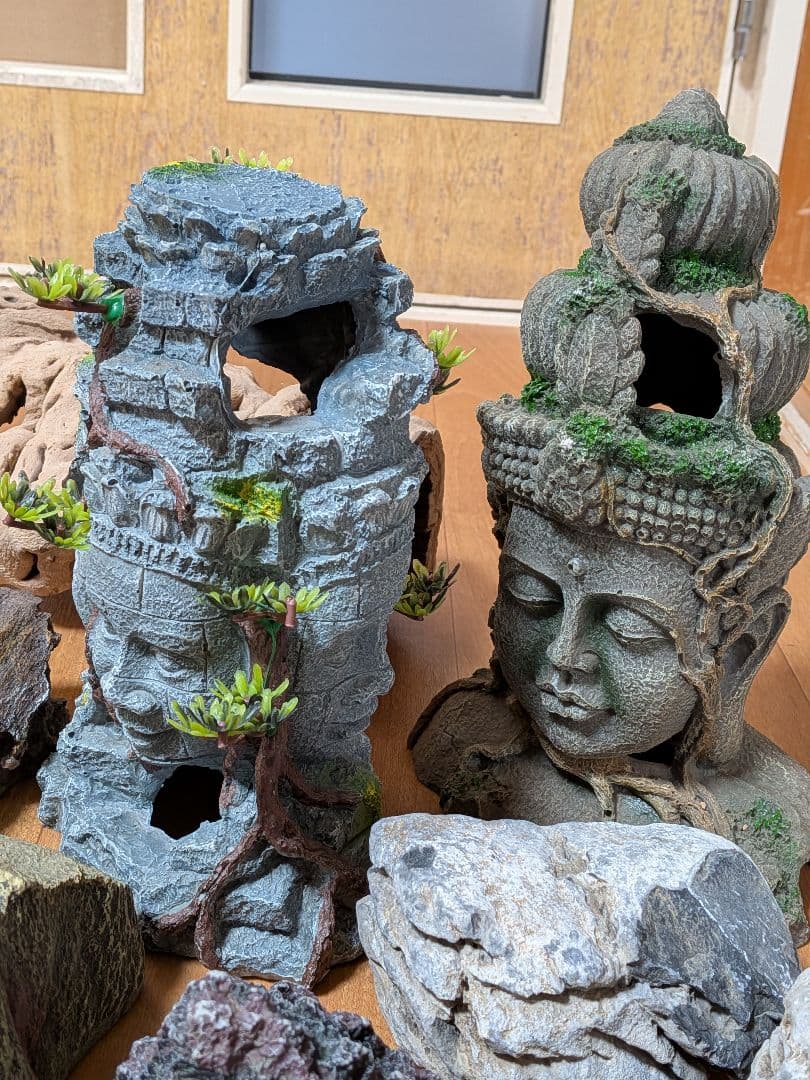 爬虫類　飼育セット