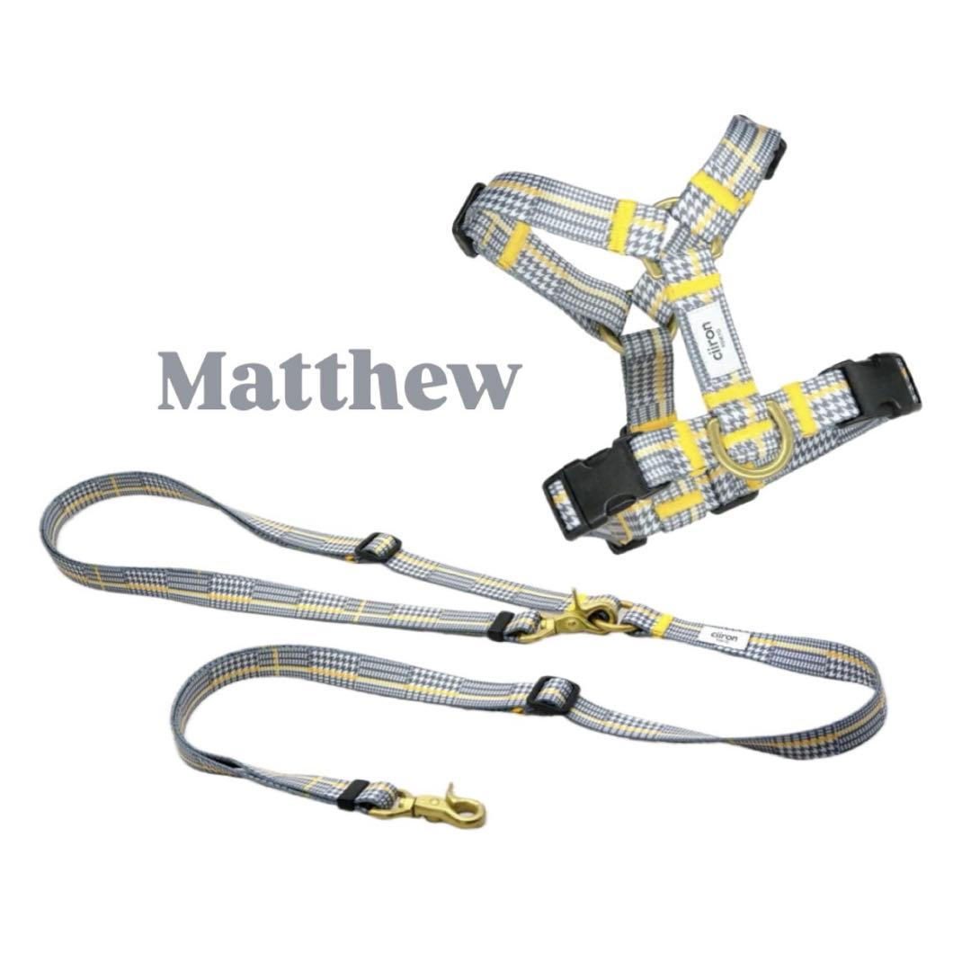 ciiron TOKYO Matthew ハーネス ショルダーリードセット