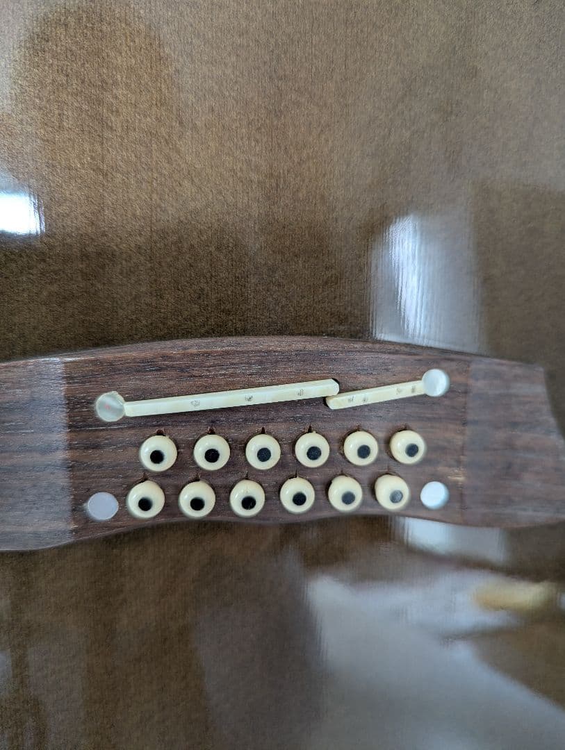 訳あり Takamine NPT110-12 12弦エレアコギター タカミネ