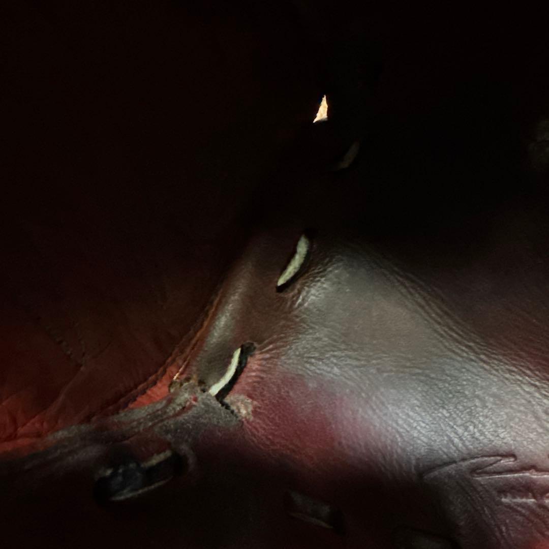 IPセレクト アルモニーア投手（硬式用）