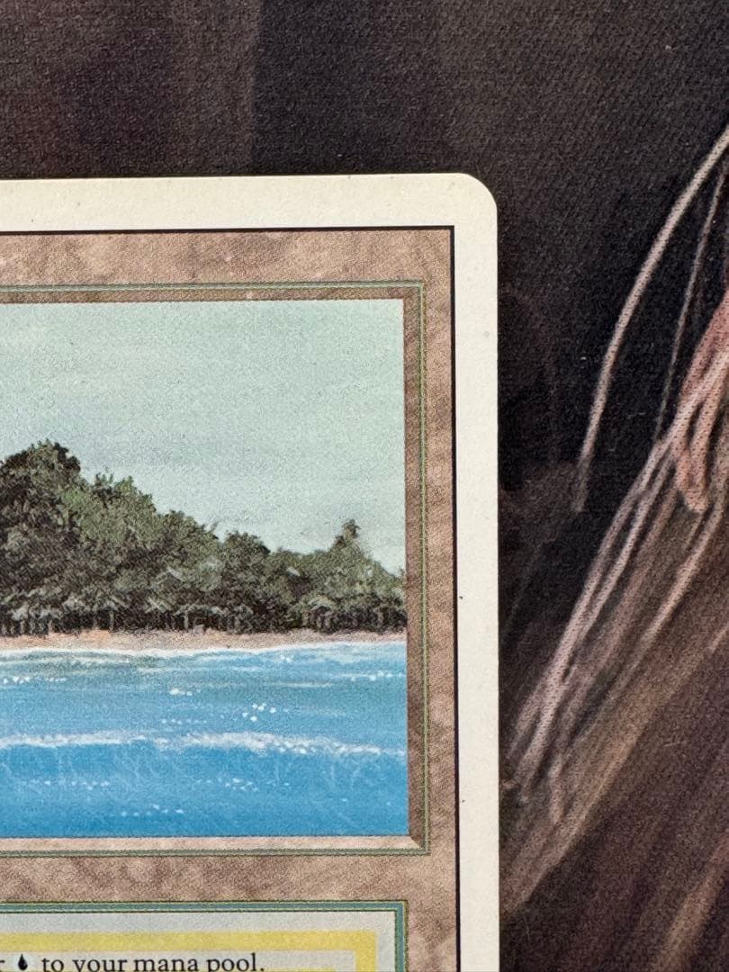 マジック：ザ・ギャザリング Tropical  3ED Revised