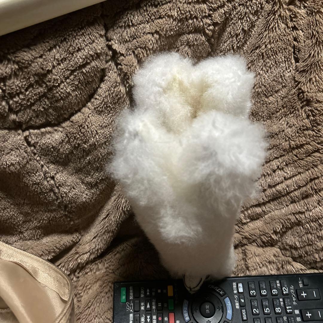 ペルー現地購入　アルパカぬいぐるみ5点セット