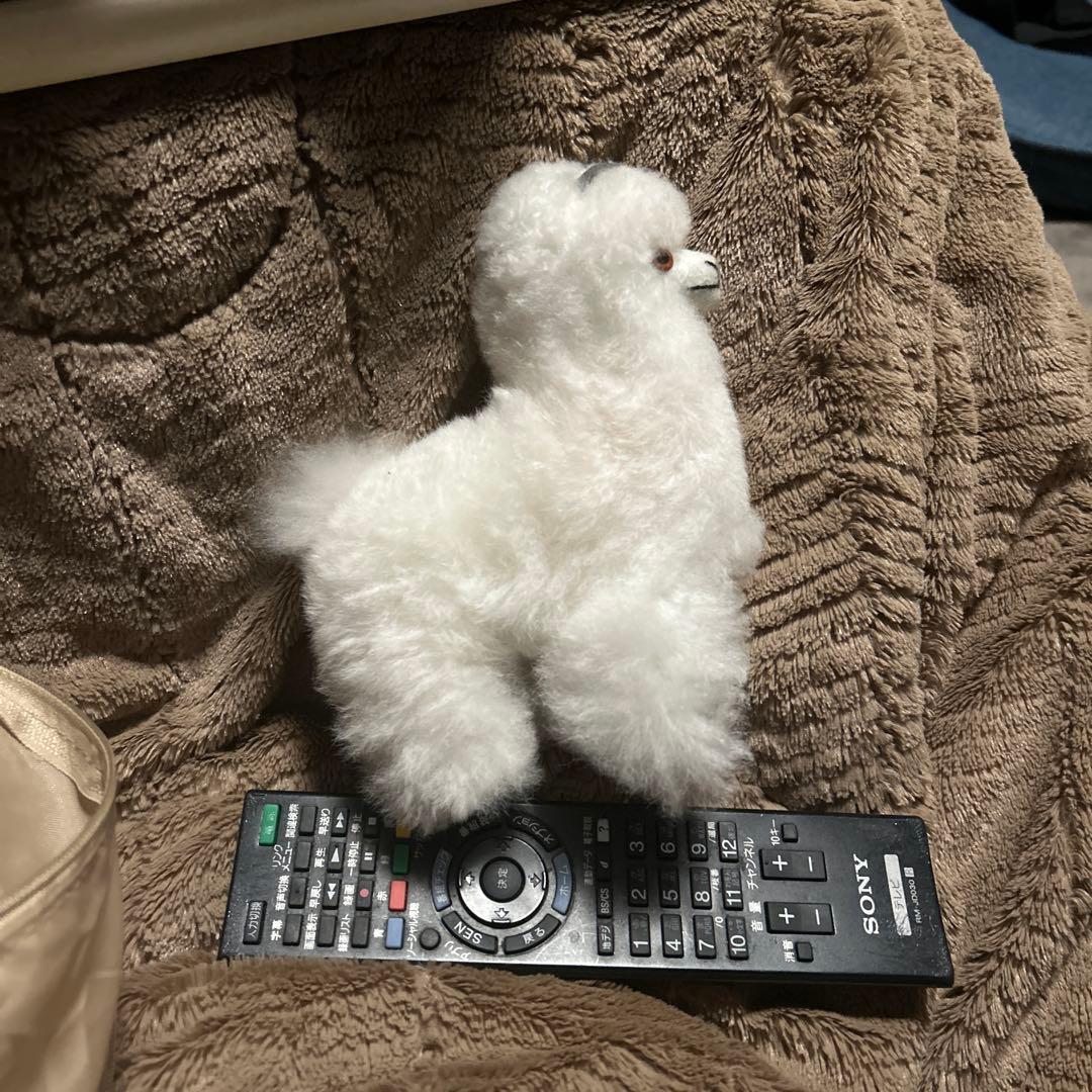 ペルー現地購入　アルパカぬいぐるみ5点セット