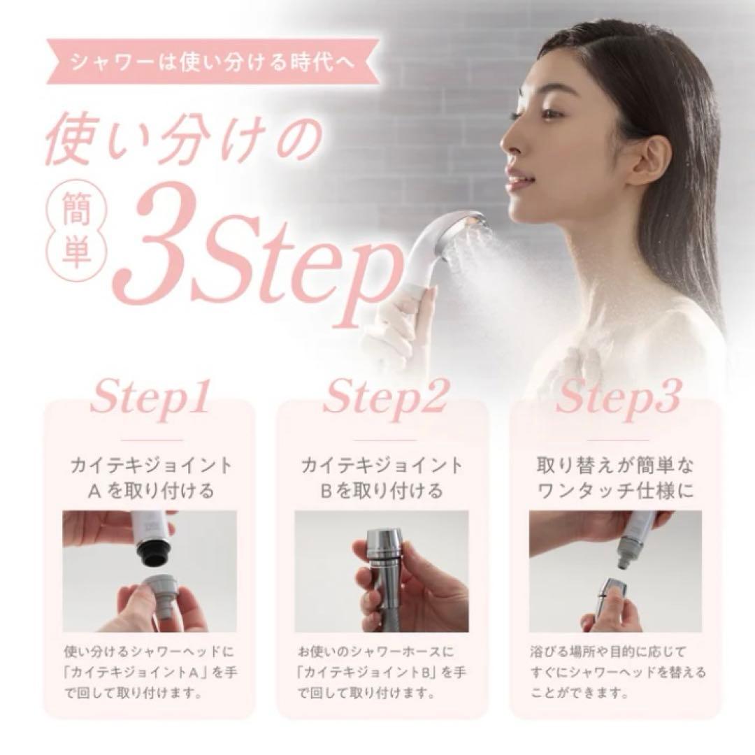 ピュアラスフィニッシュミスト　スターターキット