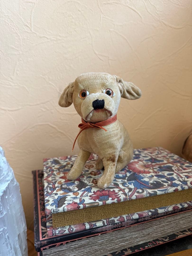 アンティーク　ドッグ　犬　テディベア　フランスアンティーク