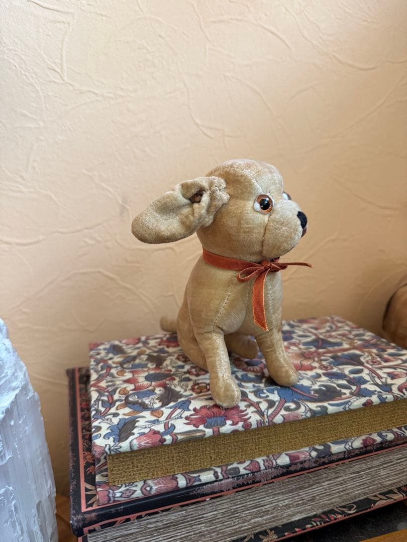 アンティーク　ドッグ　犬　テディベア　フランスアンティーク