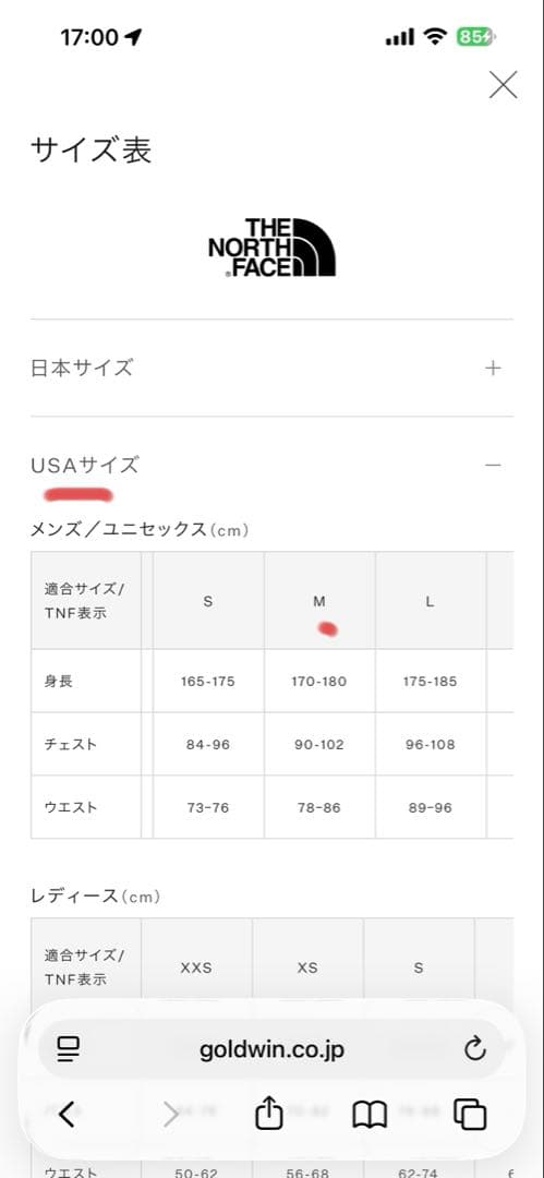 ⭐︎THE NORTH FACE ビンテージカモ スノーボードパンツ L⭐︎