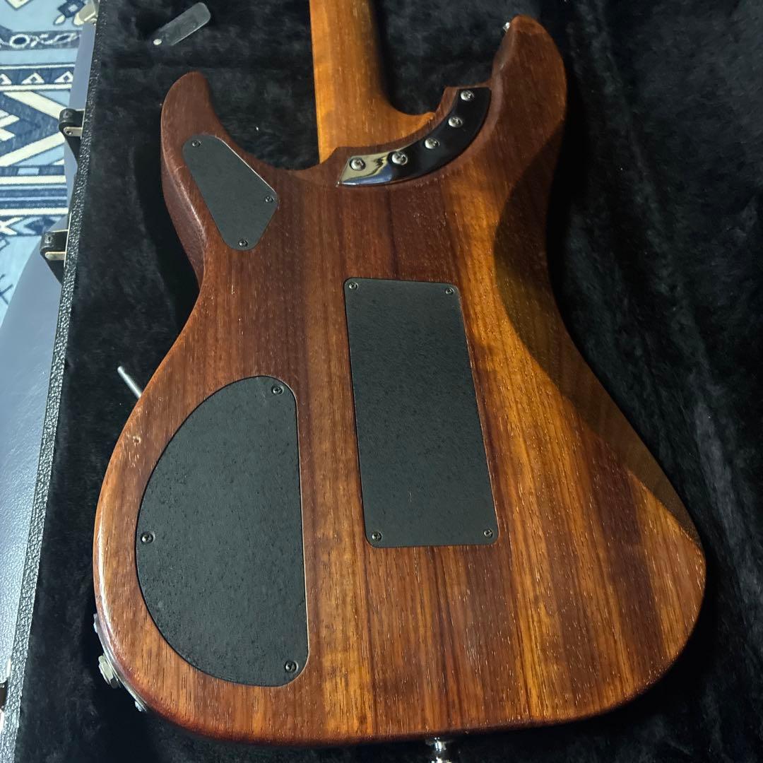 Washburn n4パドークUSA製