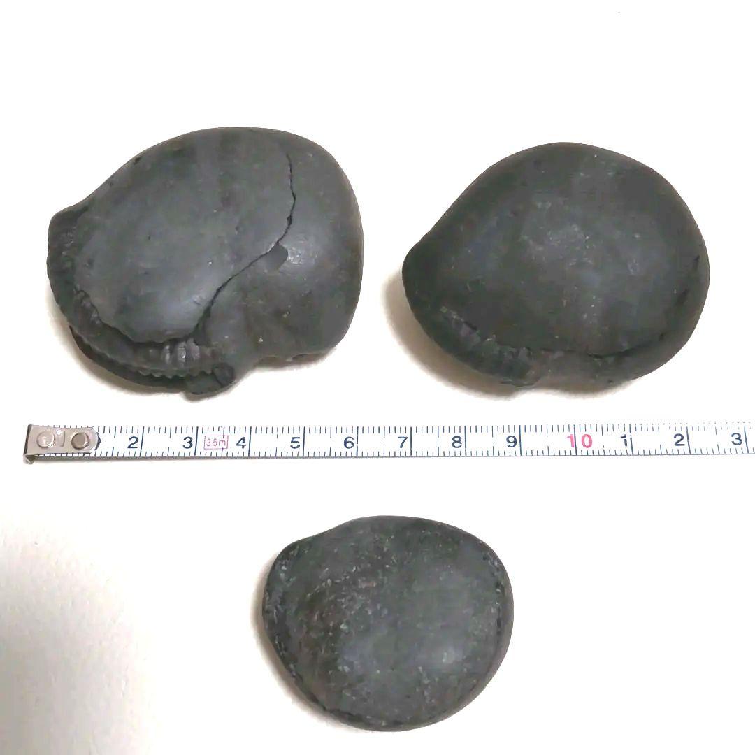 【美品】アンモナイト　3セット