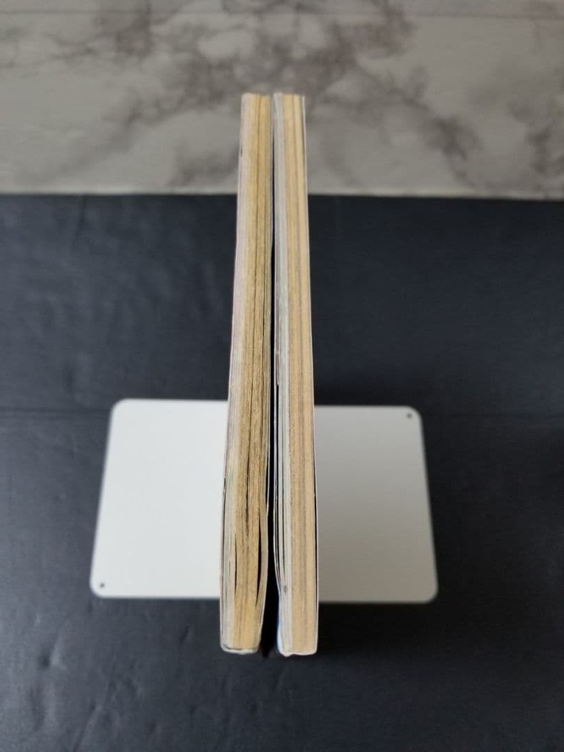 コロコロコミック増刊　劇場版ポケットモンスター超特集号　2冊セット