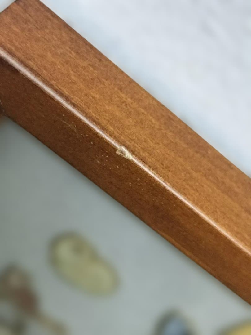 ファイザー社　世界の猫ピンバッチ　額入り　セット