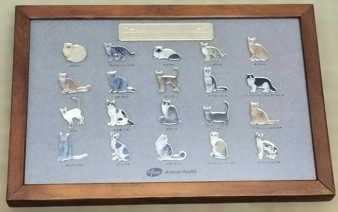 ファイザー社　世界の猫ピンバッチ　額入り　セット