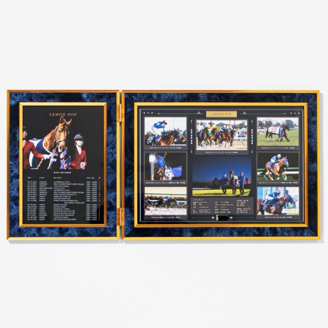 70%OFF【数量限定】レモンポップ引退記念写真デザインパネル