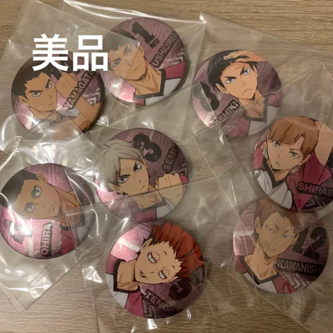 【ハイキュー】白鳥沢×8 全員集合　缶バッジコレクションlllシーズン　vs烏野