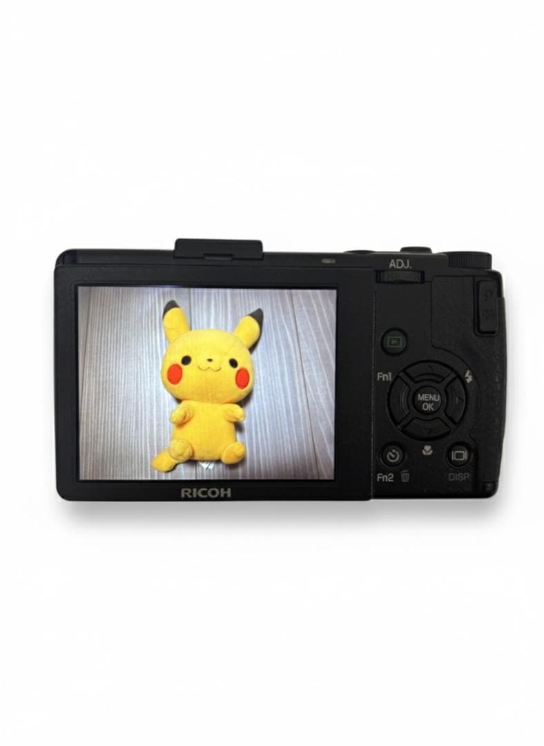 Ricoh GR Digital III ショット数3848回 #017AL