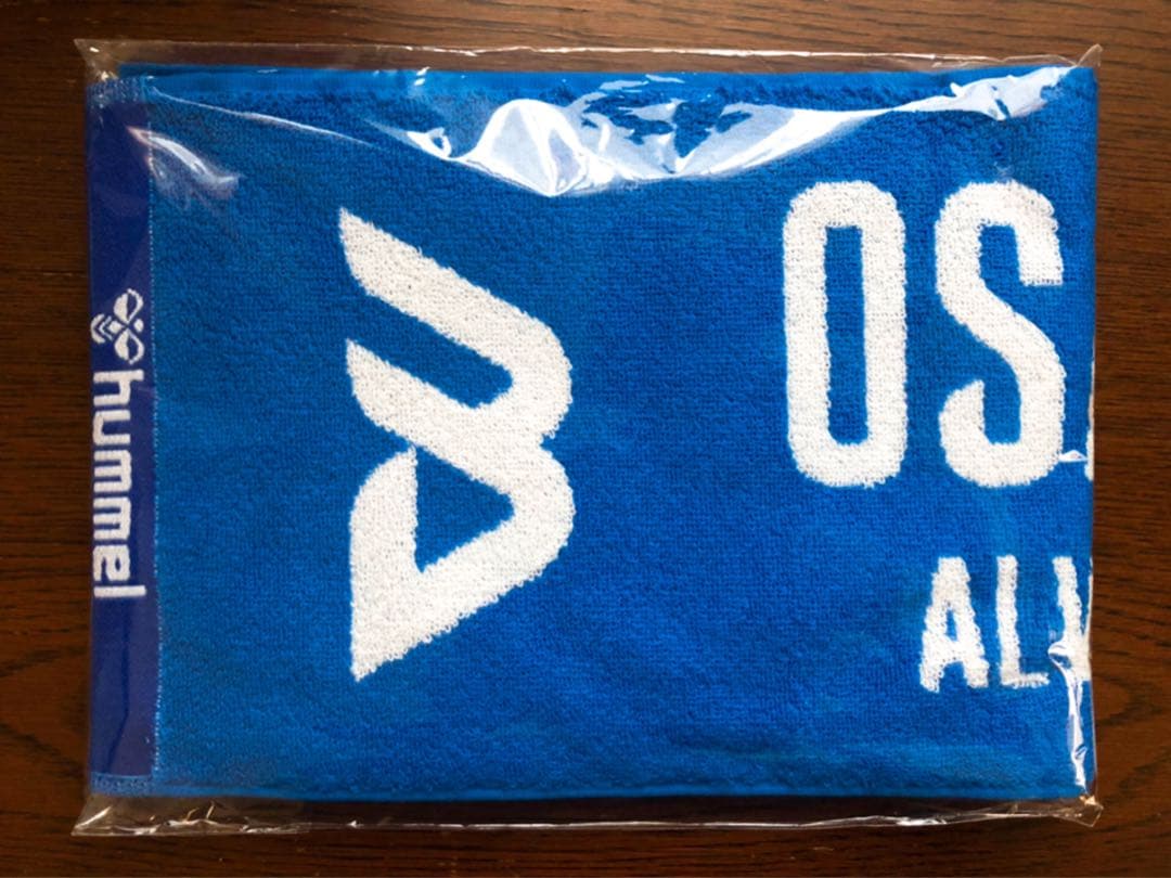 大阪ブルテオン グッズセット