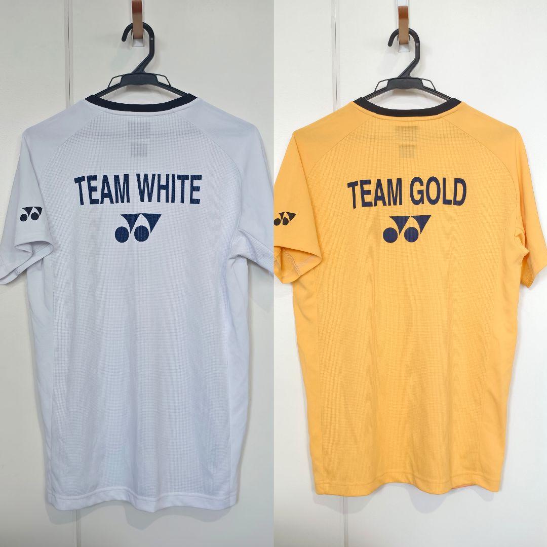 YONEX Taufik選手限定特注トーナメントバッグ 代表支給品トナミ NTT