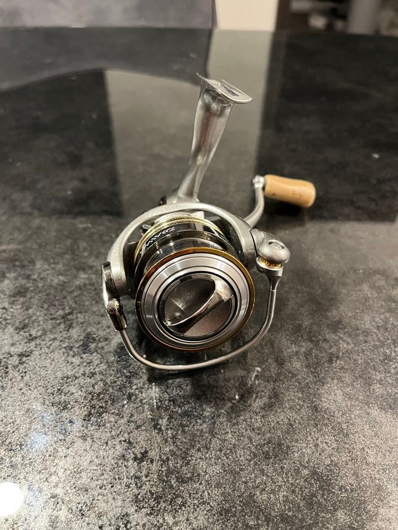 ダイワ12 ルビアス　2506H