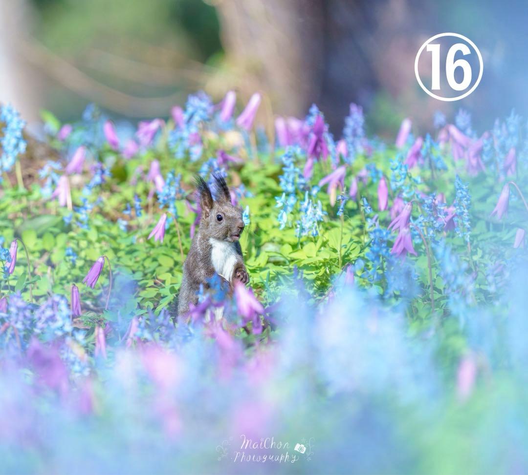 【オーダー用】北海道の風景写真