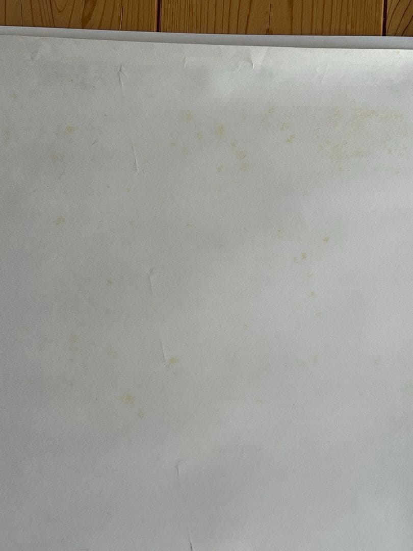 激レア　三上晴子サイン入りINFORMATON WEAPON2 ポスター