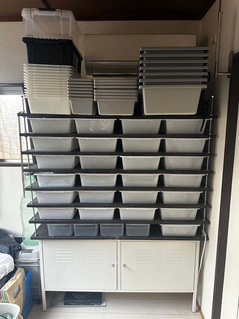 スネークラック　ブリーダーラック　爬虫類ラック