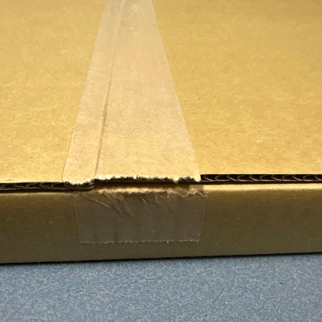 ジョジョの奇妙な冒険　複製原画　ジョジョ展 ジョセフ＆シーザー＆リサリサVer.