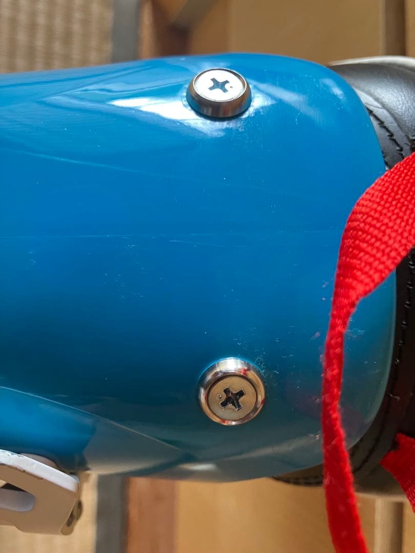 アビリーバ ホーネット　フレックス100　サイズ25 1/2（AVIRIVA）