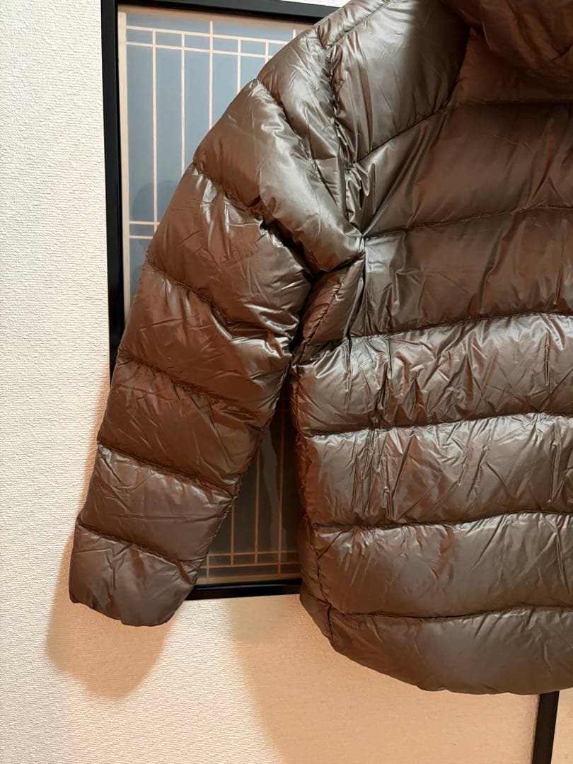 パタゴニア フィッツロイダウンフーディ MRLB 新品 Lサイズ