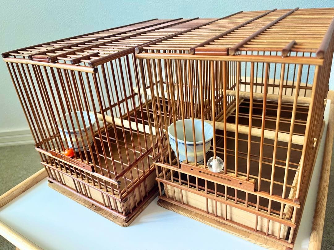 山一竹籠　メジロ籠