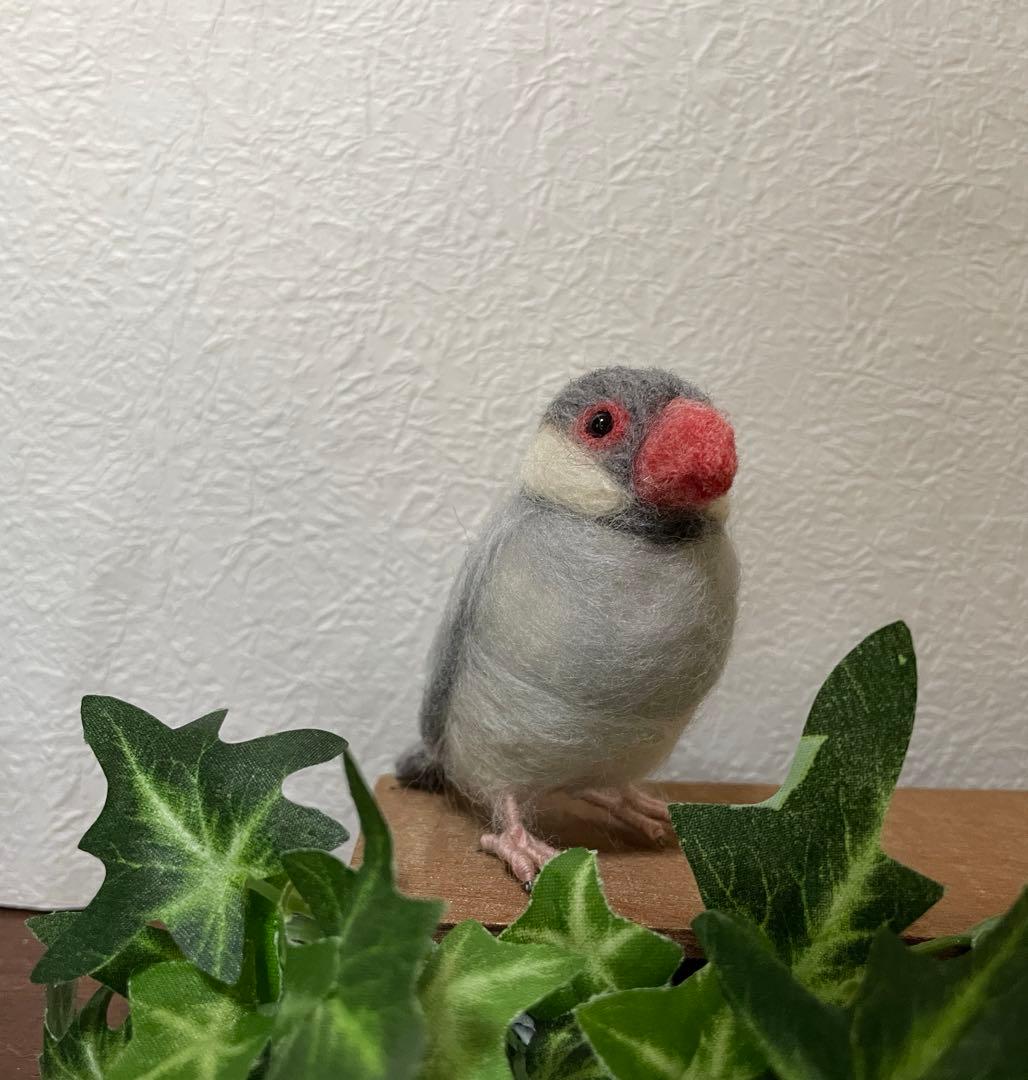 小さな文鳥たち