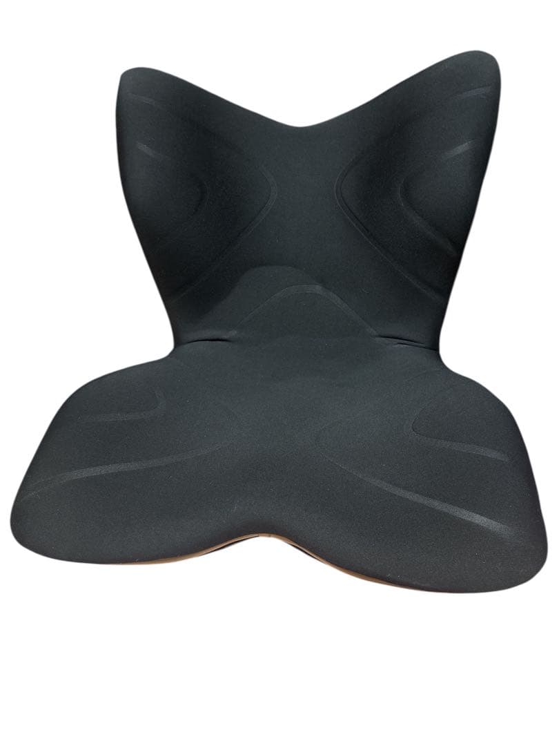 Style PREMIUM 腰椎サポート機能 ブラック