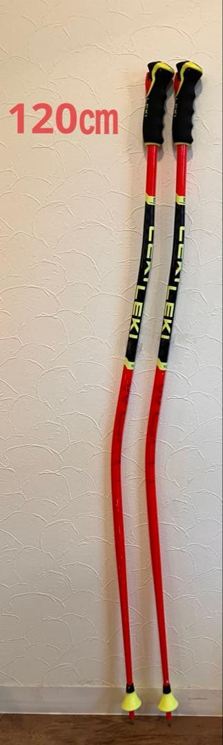 LEKI ワールドカップレーシング TBS GS 3D 120㎝