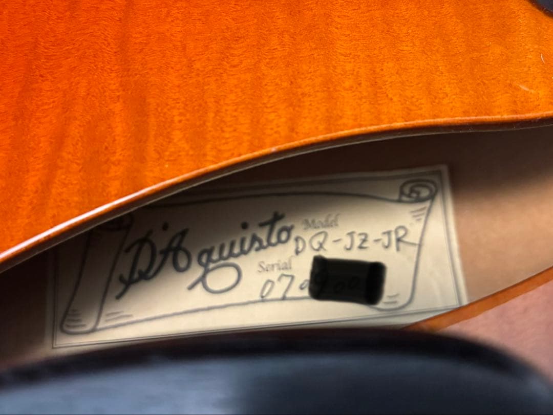 D'Aquisto Jazz Line JR / DiMarzio搭載