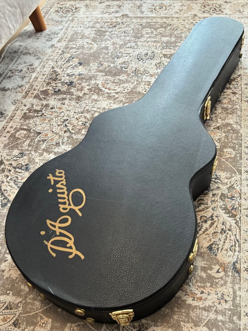 D'Aquisto Jazz Line JR / DiMarzio搭載