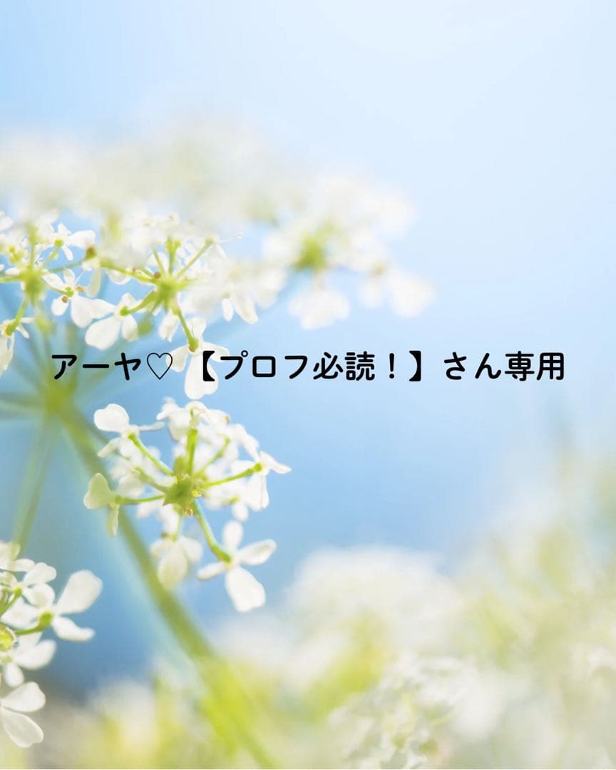 アーヤ♡【プロフ必読！】さん専用