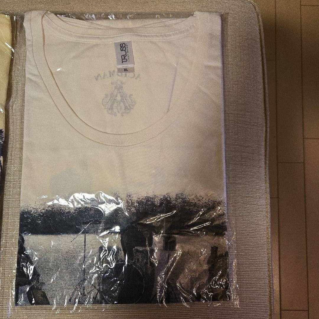 ACIDMAN　Tシャツ　１２点セット