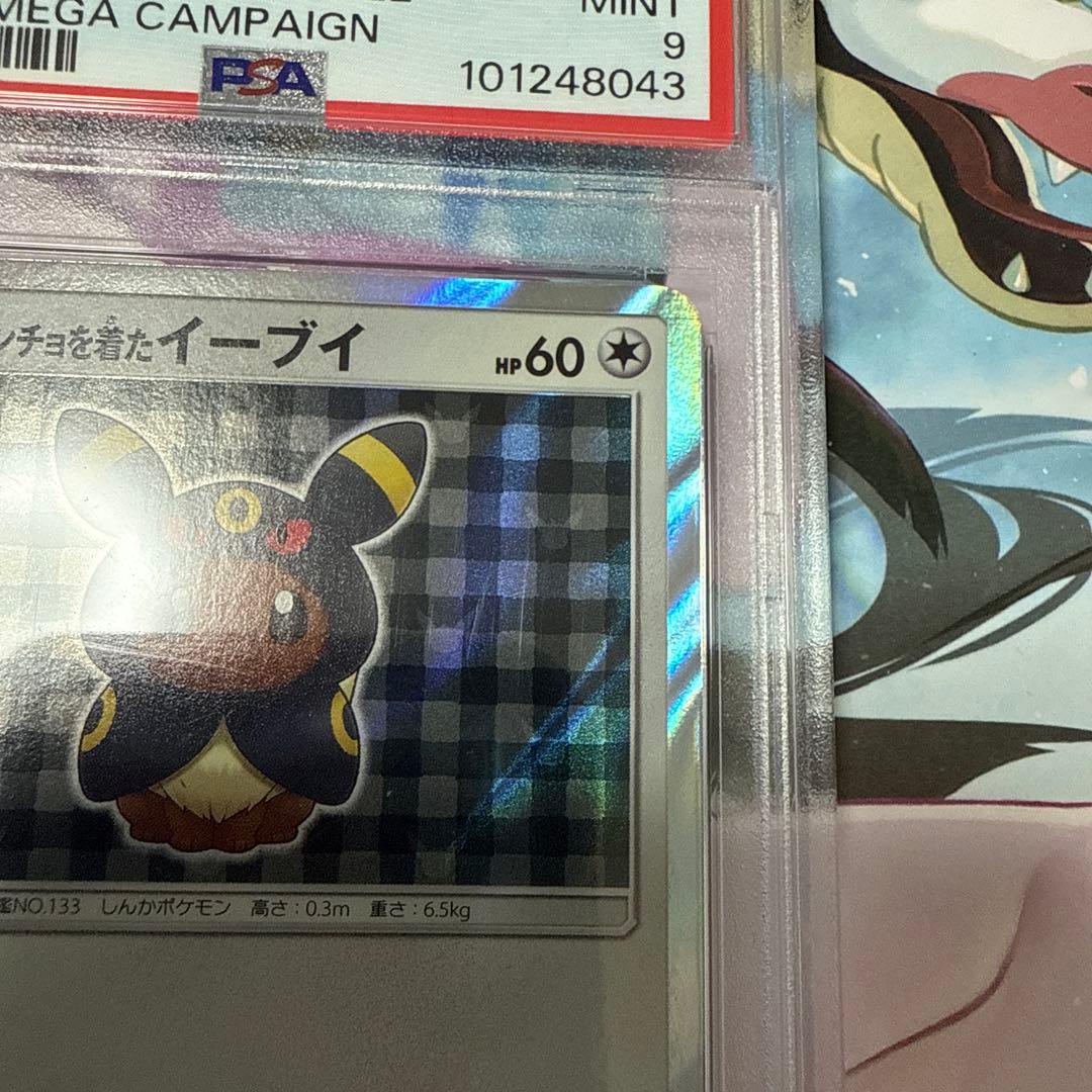 ポンチョを着たイーブイ　ブラッキー　PSA9 ワンオーナー