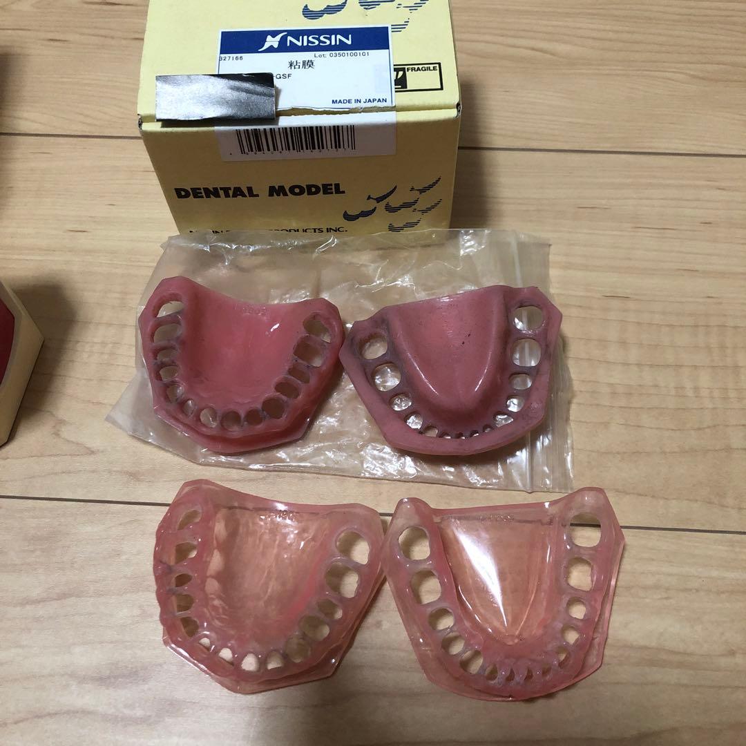 NISSIN ニッシン　顎模型　デンタルモデル　舌模型　粘膜