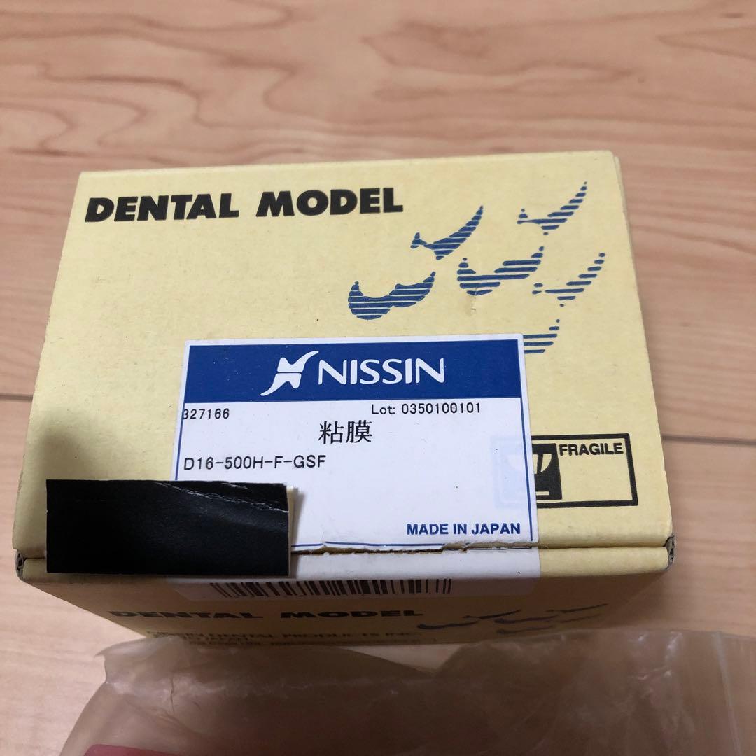 NISSIN ニッシン　顎模型　デンタルモデル　舌模型　粘膜