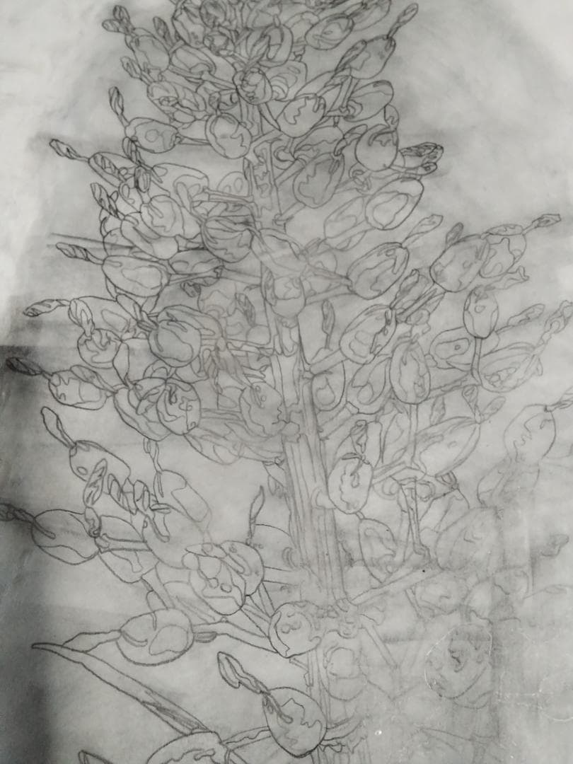 ヒロ・ヤマガタ植物直筆真作鉛筆木炭画ドローイング巨匠証明書あり額無しキャンバス