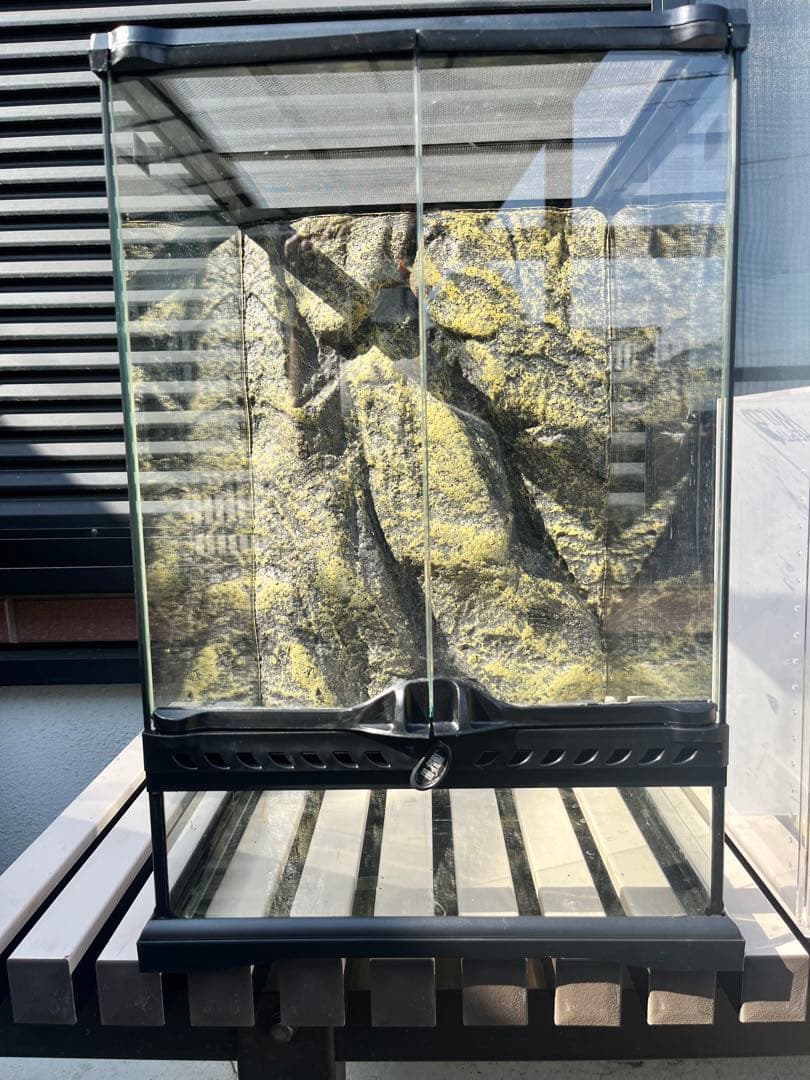 グラステラリウムGT3045