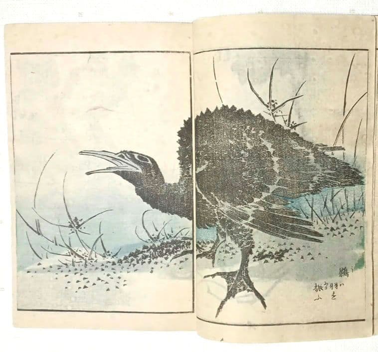 後摺多色刷り版画本傳神開手北斎画宛初編、葛飾北斎画、明治8年片野東四郎東壁堂出版