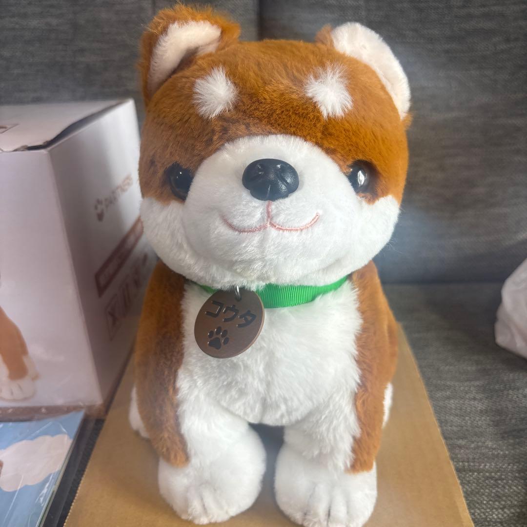 しばいぬコウタ　バンダナ無し