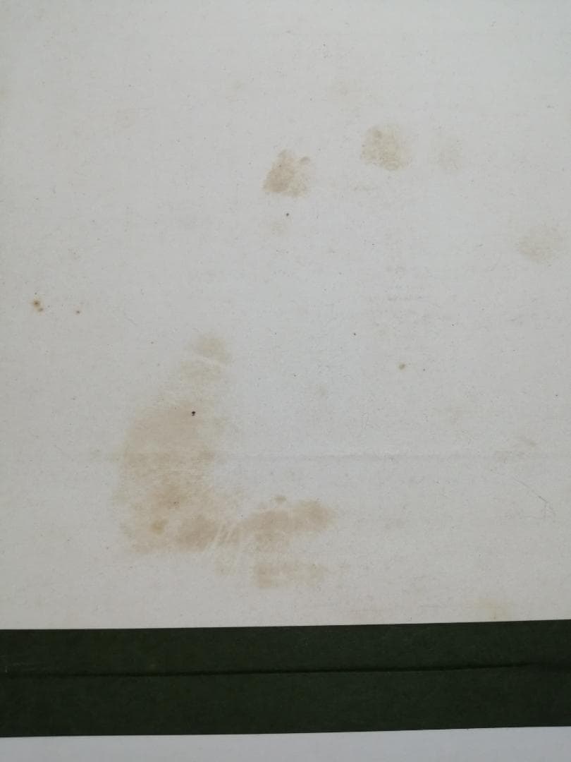 木精の宴　沢田憲良