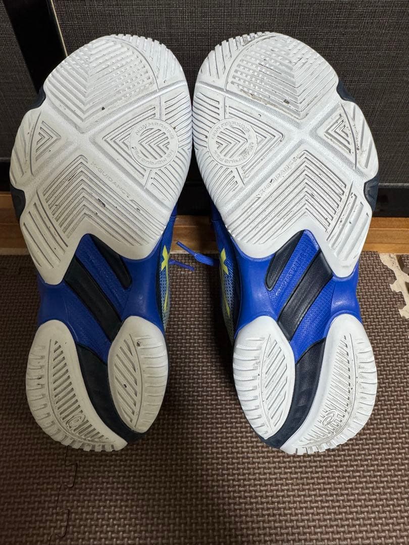 シューズ Asics NETBURNER BALLISTIC FF3 25.0