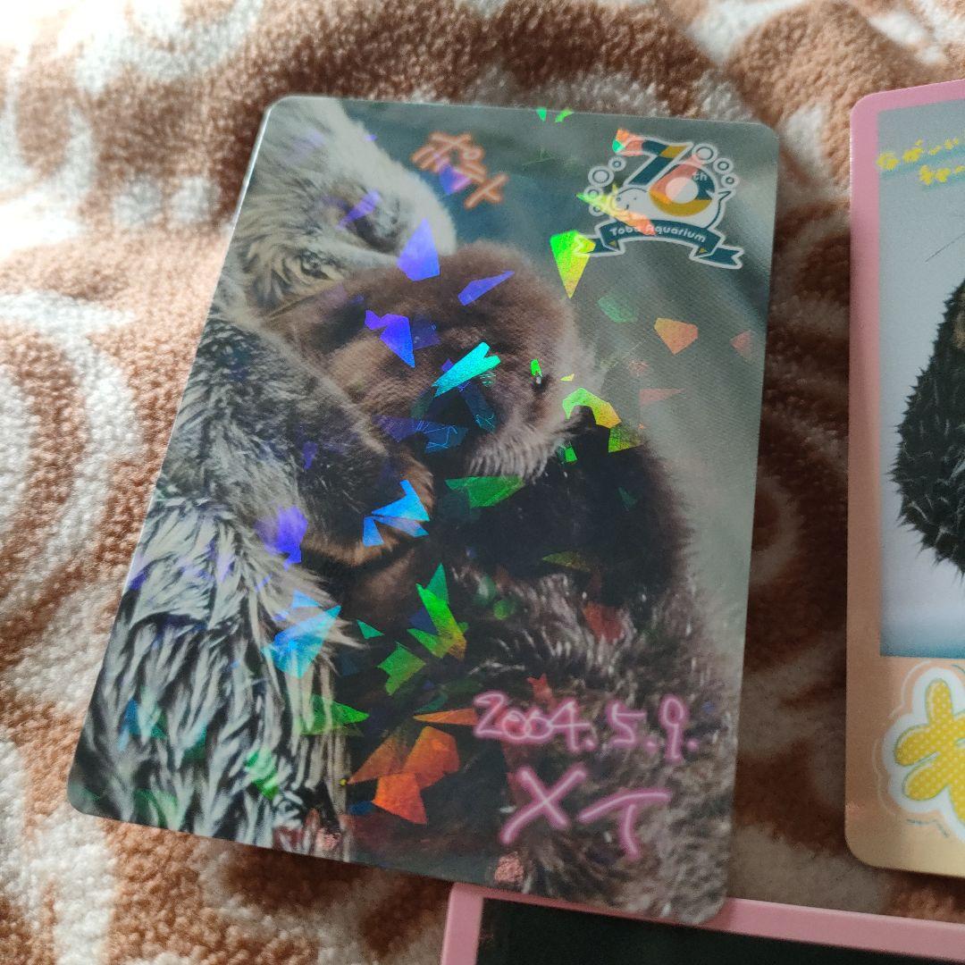 り*め様 鳥羽水族館　トレーディングカード　ラッコ