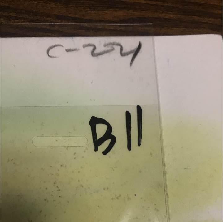 セル画 ドラゴンボール 孫 悟空　背景