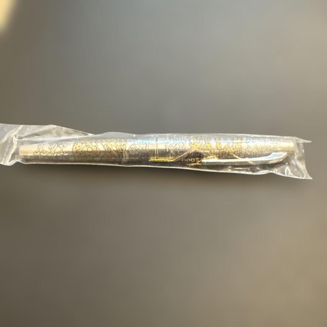 PLATINUM万年筆リビエール銀河 新品