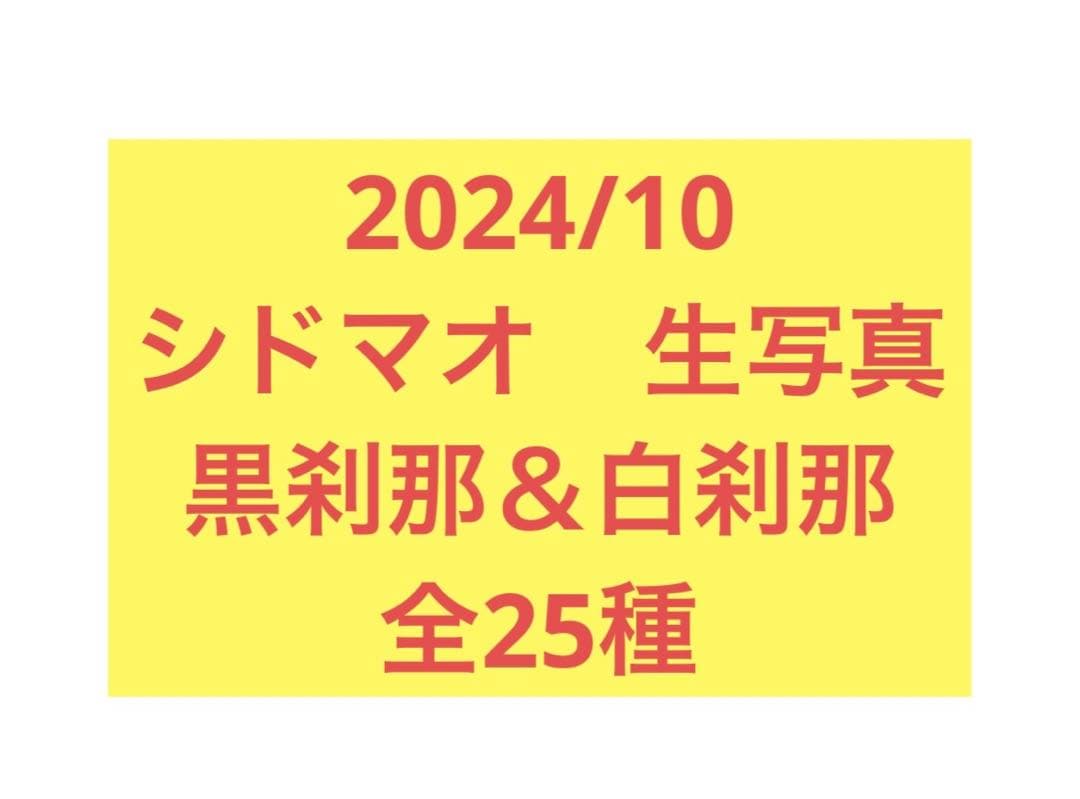 生写真　シドマオ　刹那　全種類コンプセット